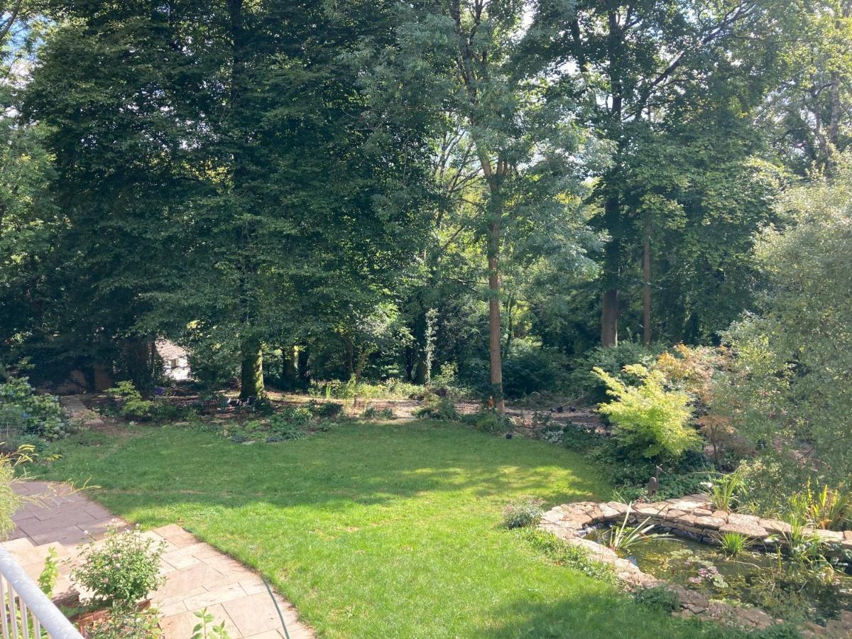 Woodland Views Bed and Breakfast Milton Abbas Buitenkant foto