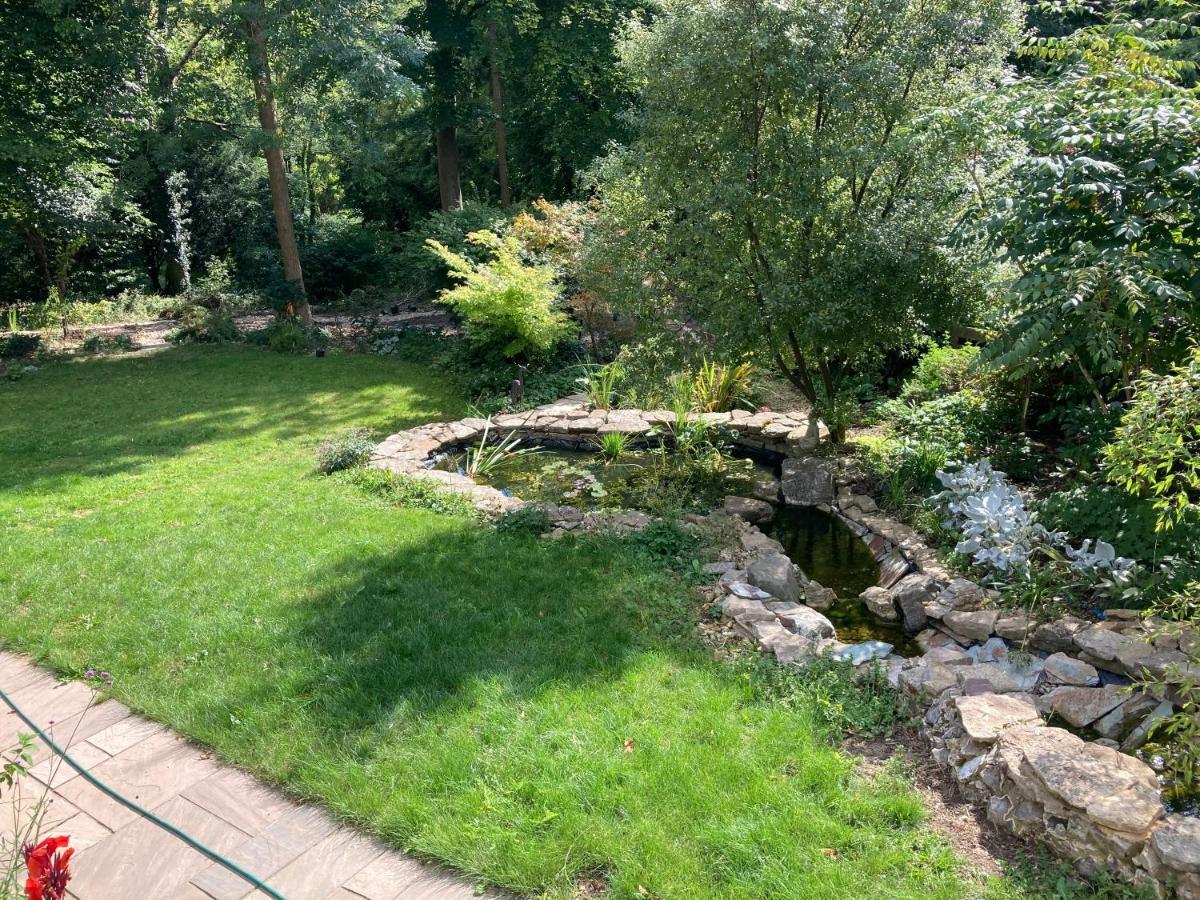 Woodland Views Bed and Breakfast Milton Abbas Buitenkant foto