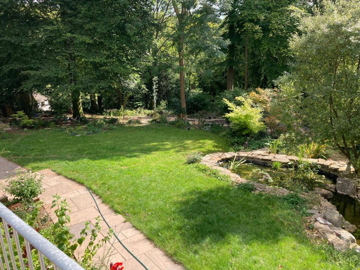 Woodland Views Bed and Breakfast Milton Abbas Buitenkant foto