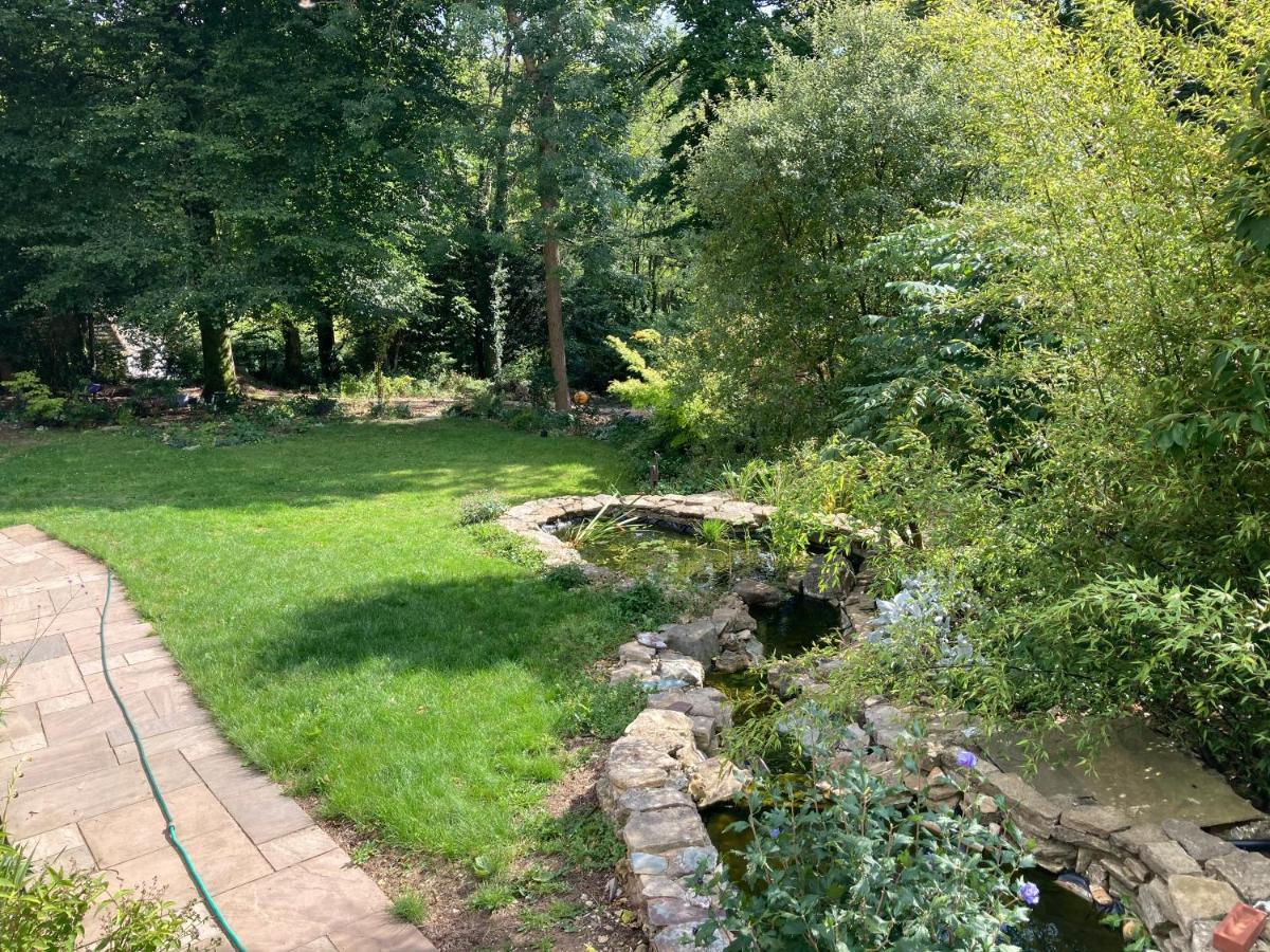Woodland Views Bed and Breakfast Milton Abbas Buitenkant foto