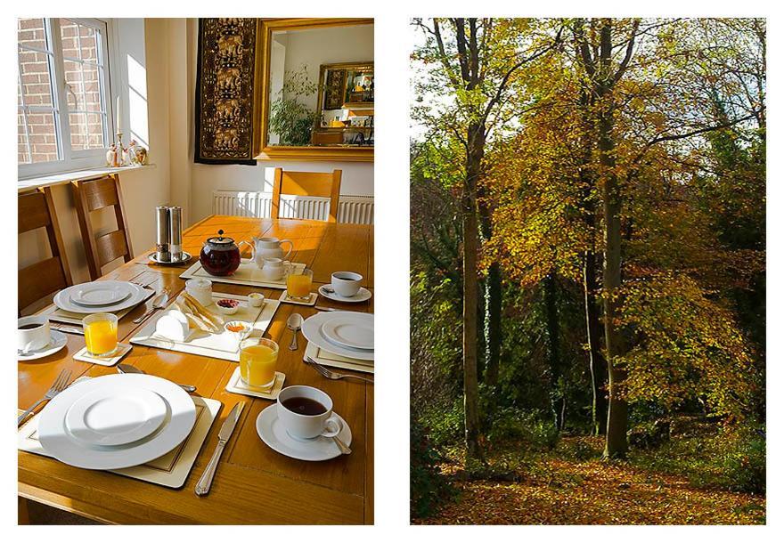 Woodland Views Bed and Breakfast Milton Abbas Buitenkant foto